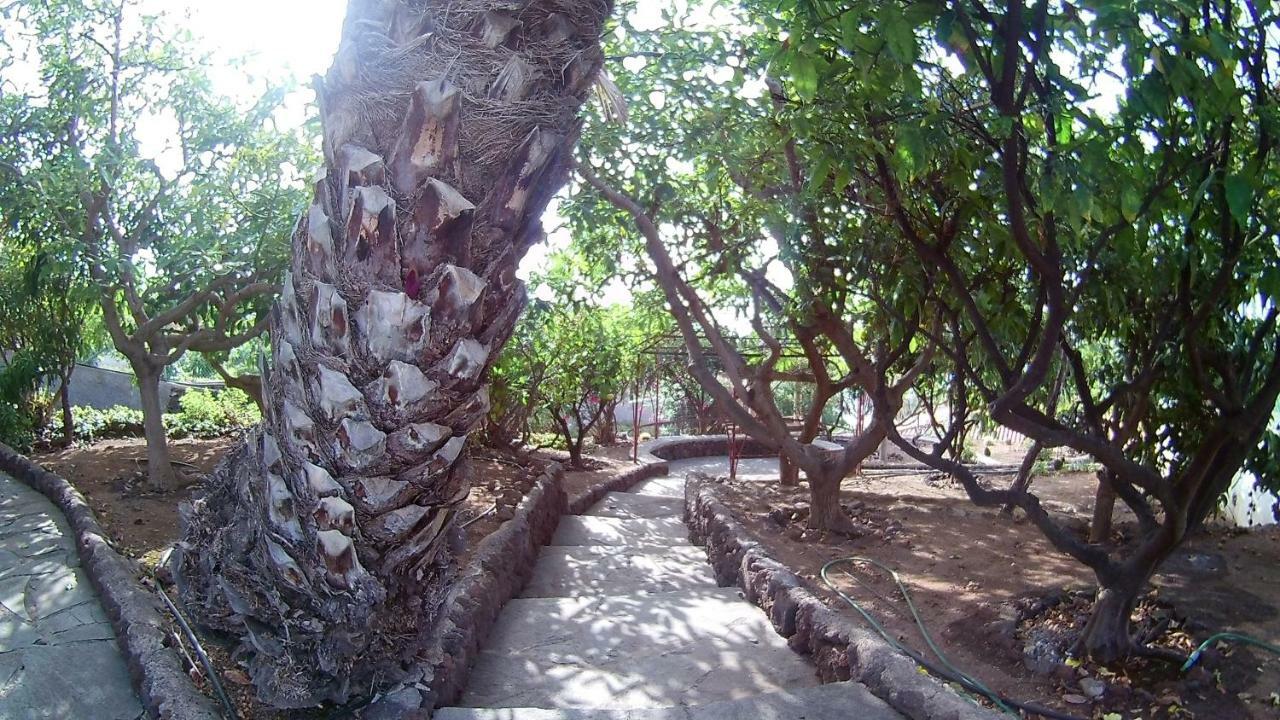 Villa Necho La Orotava Kültér fotó
